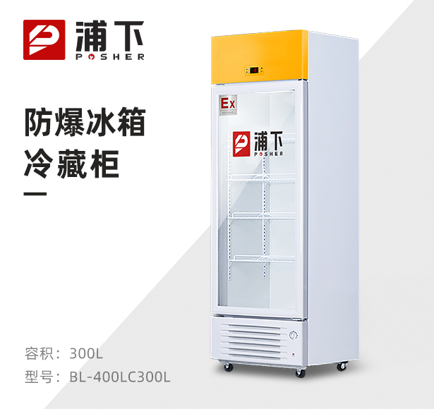 浦下防爆冰箱-单门冷藏柜300L