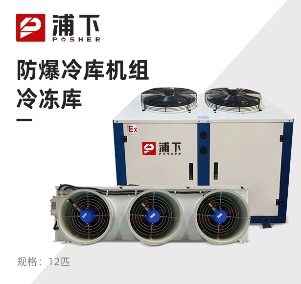 防爆冷库机组-冷冻库12匹