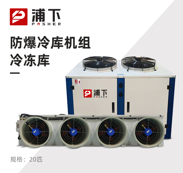 防爆冷库机组-冷冻库20匹